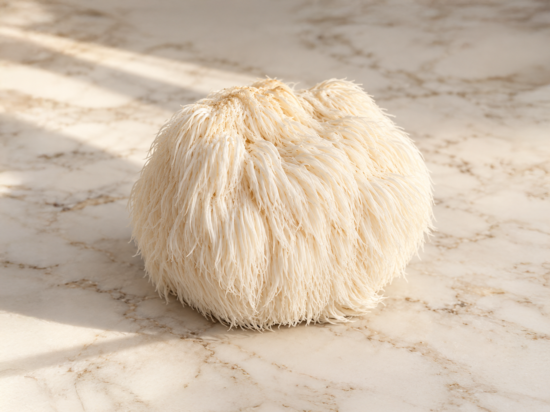 Lion’s Mane