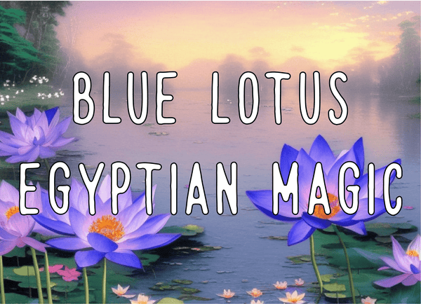 Blue Lotus - Egyptian Magic