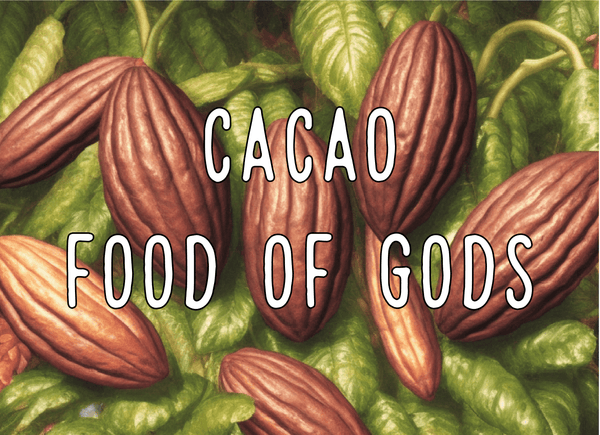 Cacao - Food of the Gods