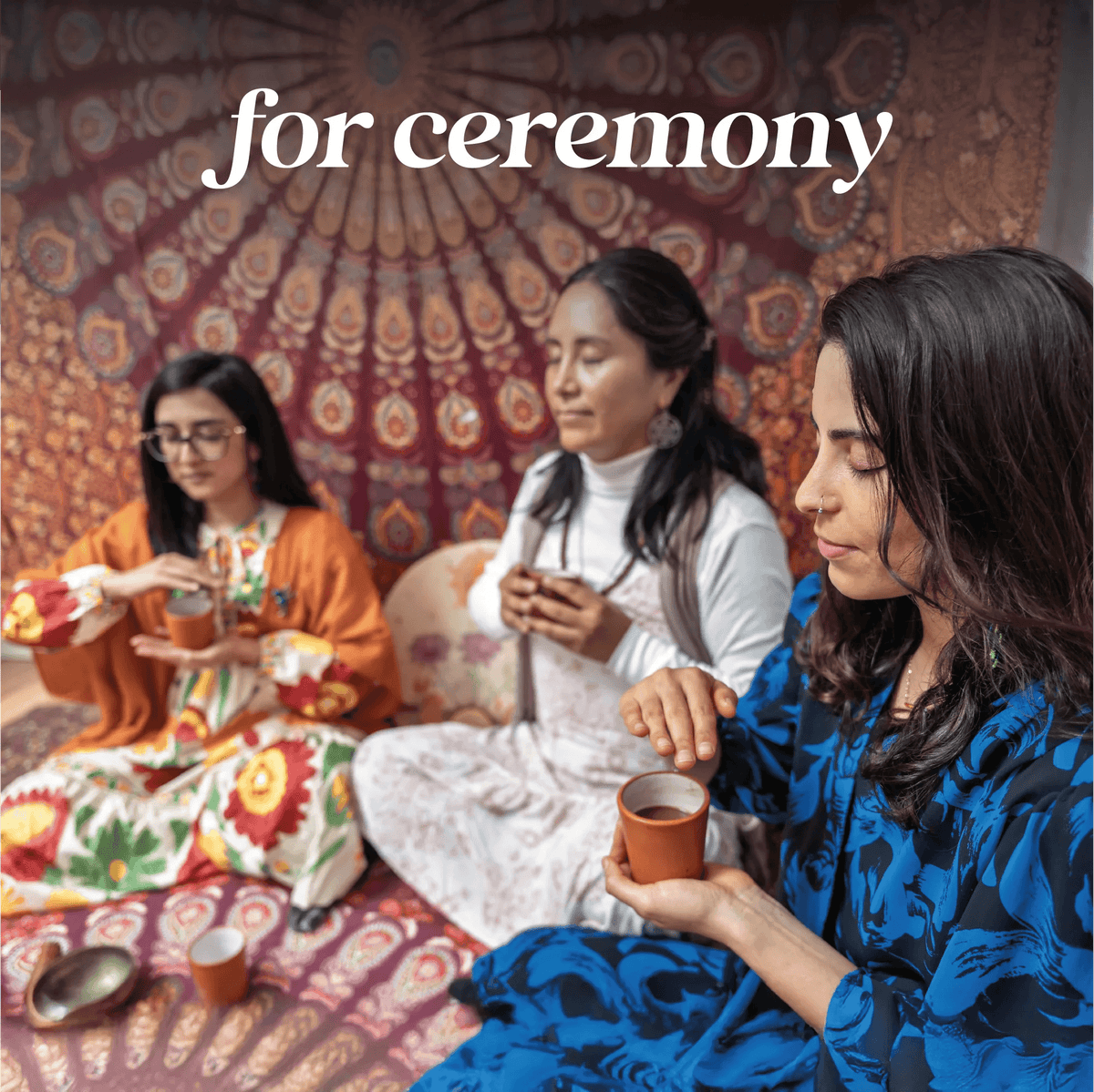 Women in ceremonial cacao ritual with lion's mane, cordyceps, ginkgo biloba supplements for spiritual wellness
