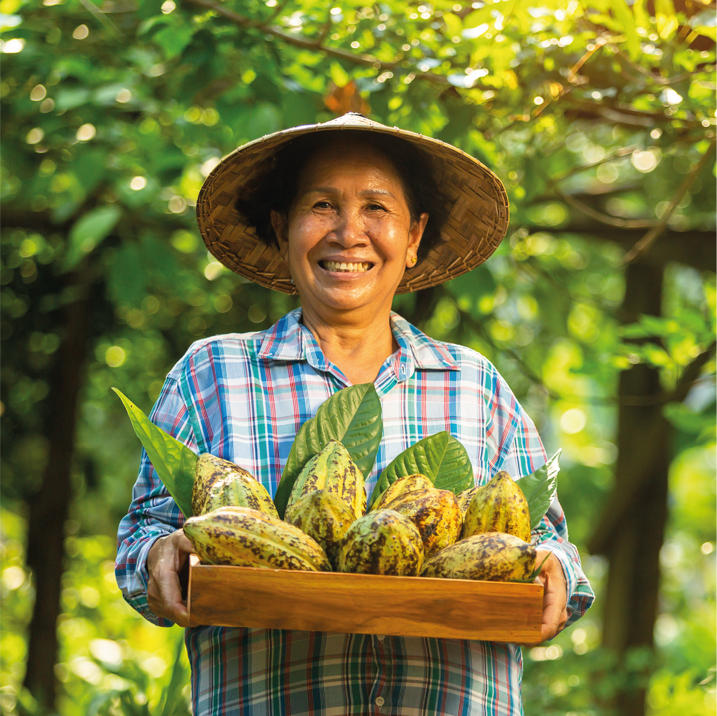 Woman holding a wooden box of cacao fruits in a lush green outdoor setting