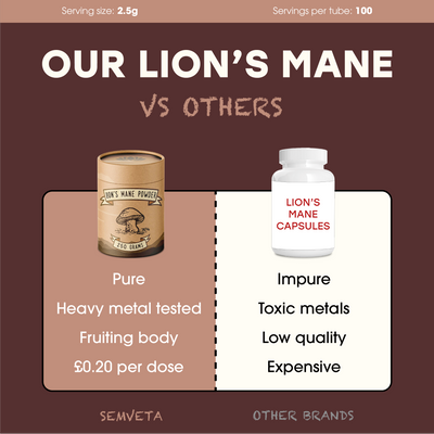 Lion's Mane Powder (250G) - Mother Nature's Brain Booster - Semveta